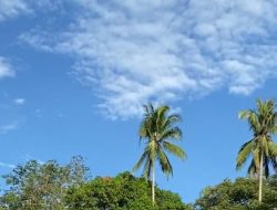 Cuaca Makassar 13 Oktober Pagi Cerah Berawan Siang Berpotensi Hujan